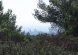 Clicca qui per vedere l'immagine in dettaglio